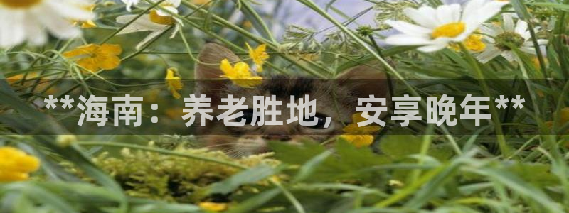 韦德1946下载