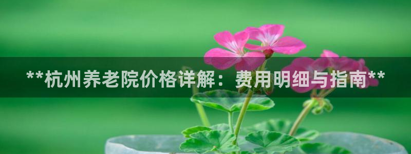 韦德1946网址