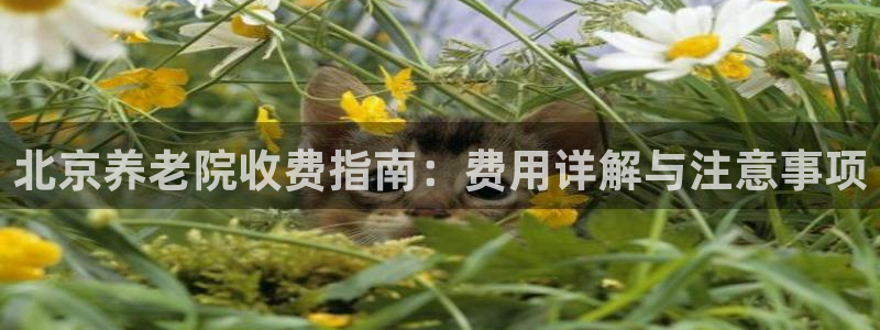韦德网址