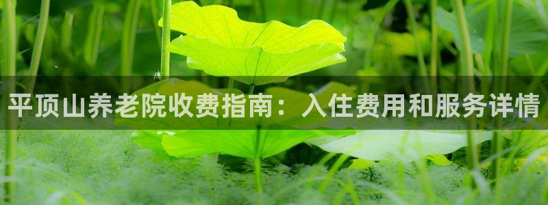韦德1946游戏