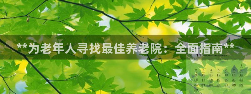 韦德bietview官网