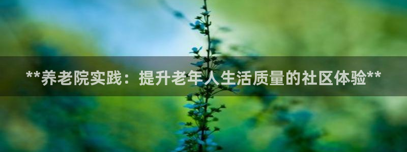 韦德1946备用网站