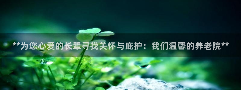 韦德1946国际