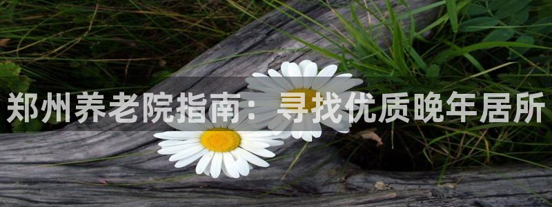 韦德app手机下载