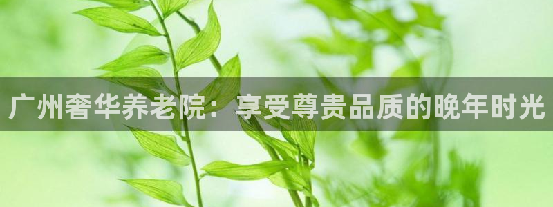 1946 韦德