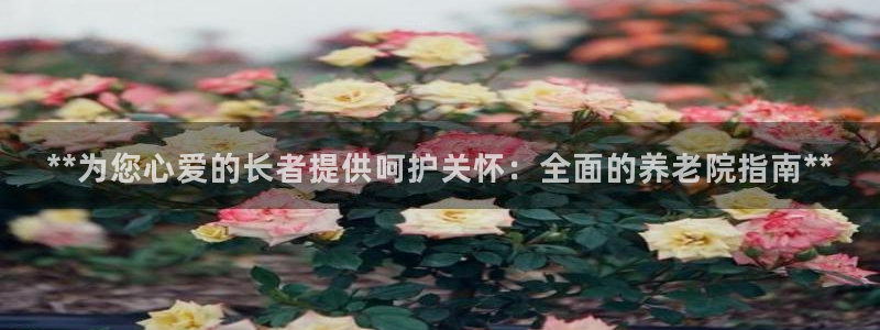 韦德1946手机版