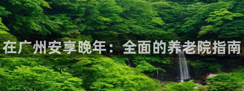 韦德1946国际