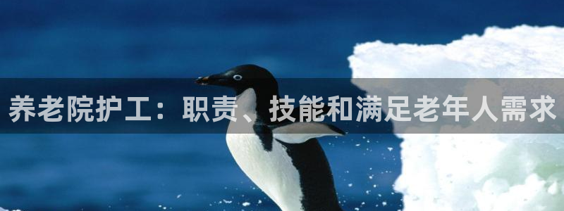 韦德1946bv1946