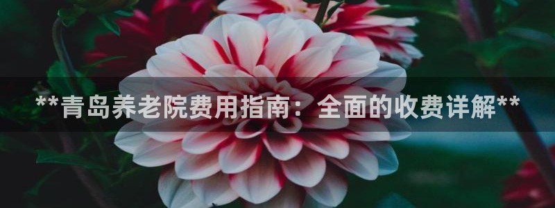 韦德1567