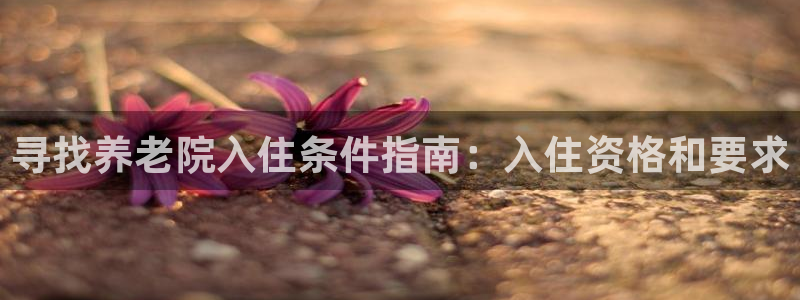韦德1946体育