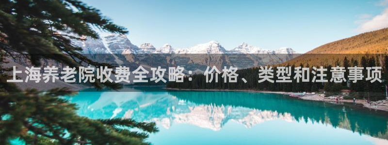 韦德1946体育官方入口