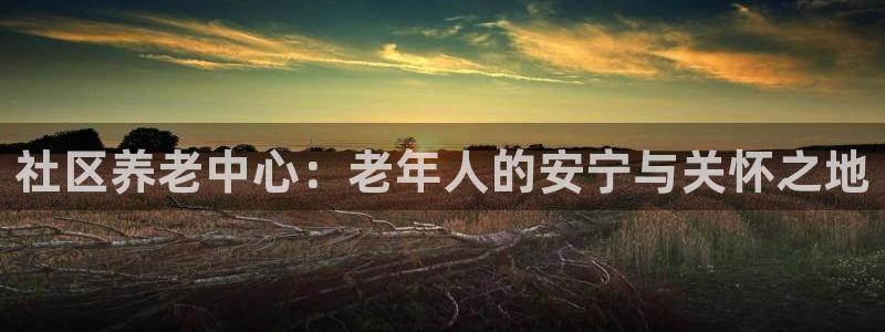 韦德bietview官网