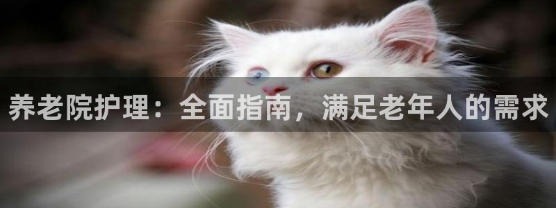 韦德1946手机