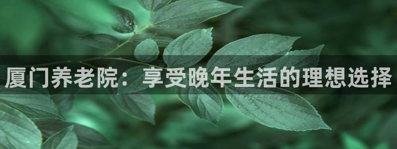 韦德网站是多少