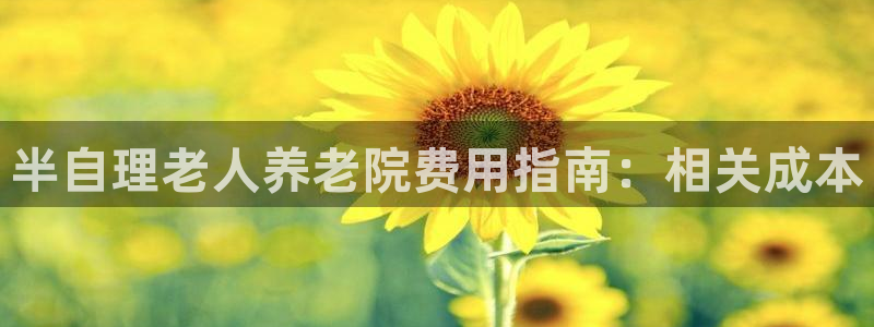 韦德网址是多少
