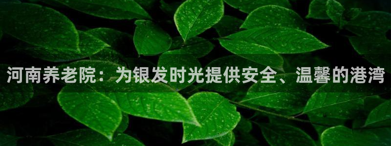 韦德官方网址大全