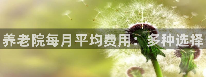 韦德的地位