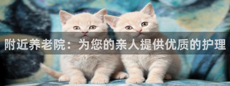 韦德官方网址