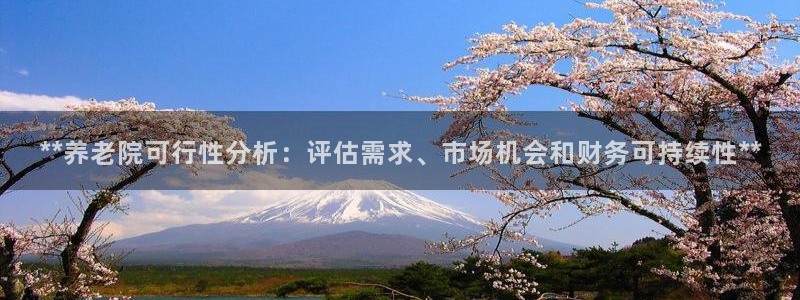 韦德1946手机