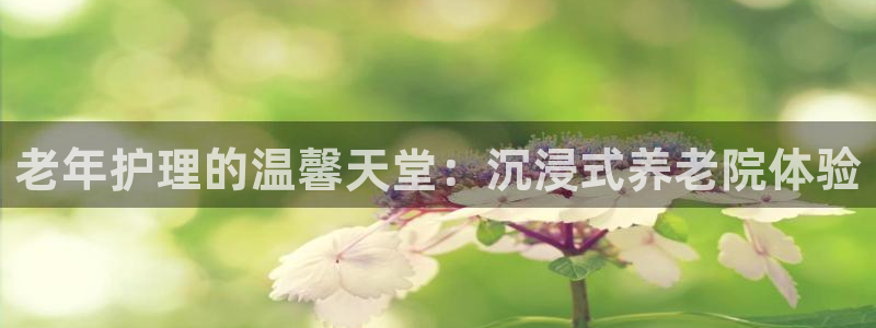 韦德2016
