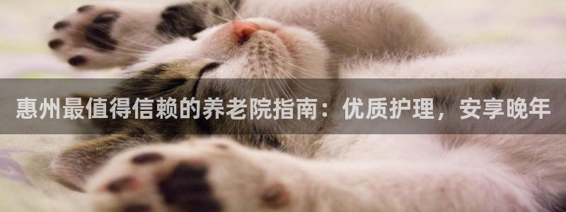 1946韦德找回密码