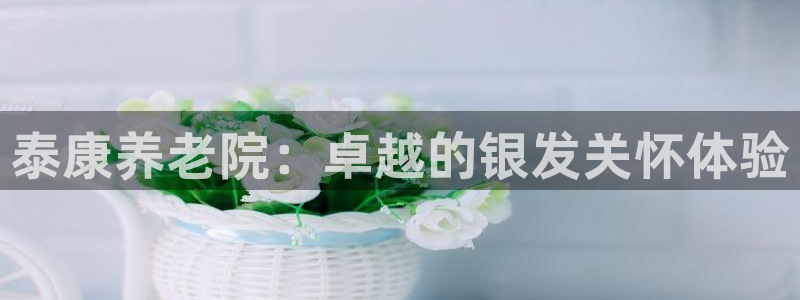 韦德是哪个