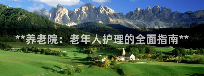 韦德的游戏