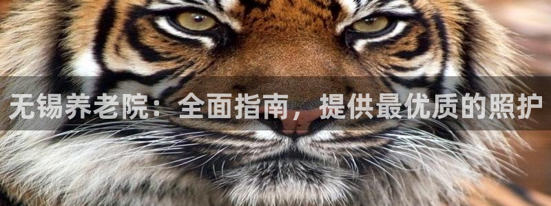 韦德1946始于英国