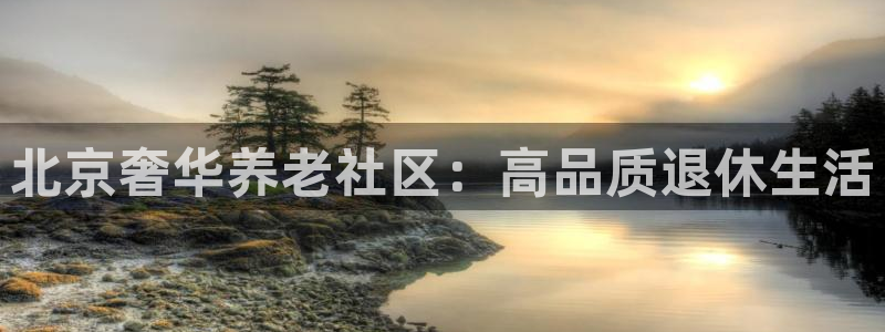韦德 网站