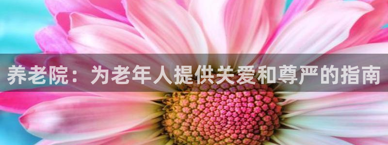韦德的游戏