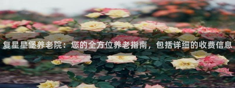 韦德app手机下载