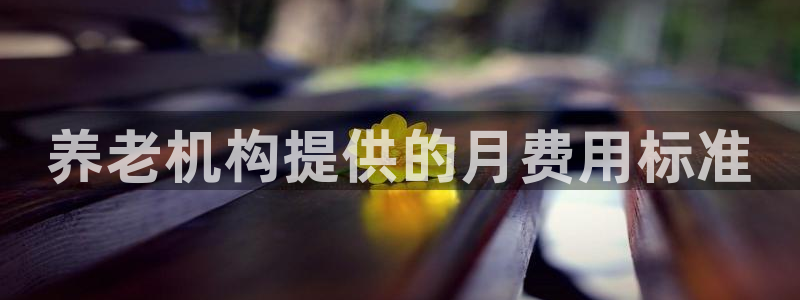 韦德8月22日开启中国行