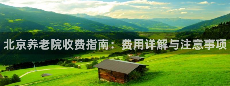 韦德 网站