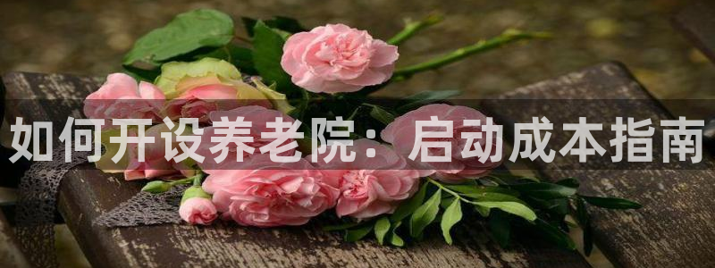韦德bietview官网