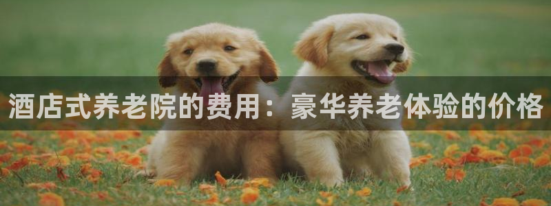 韦德事件