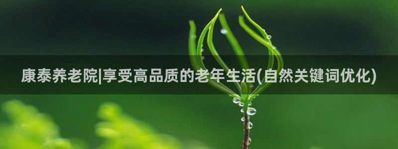 韦德1946体育官方入口