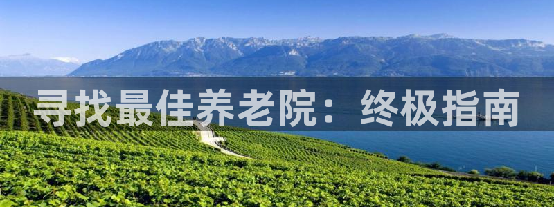 韦德的游戏