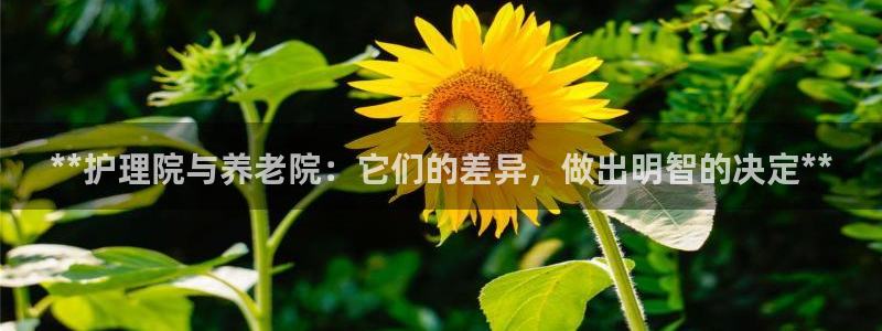 韦德1946体育官方入口