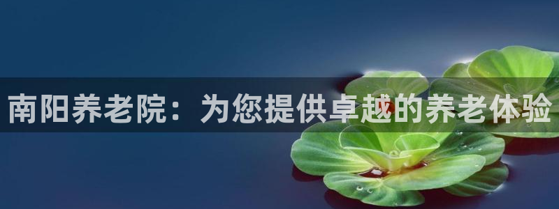 韦德1946博客