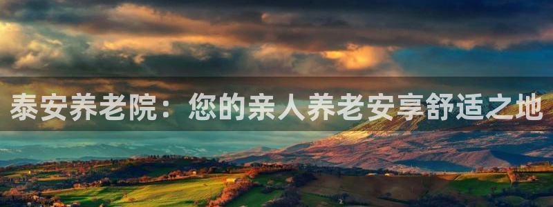 韦德 网站