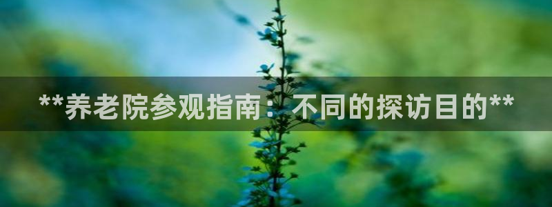 韦德1946体育