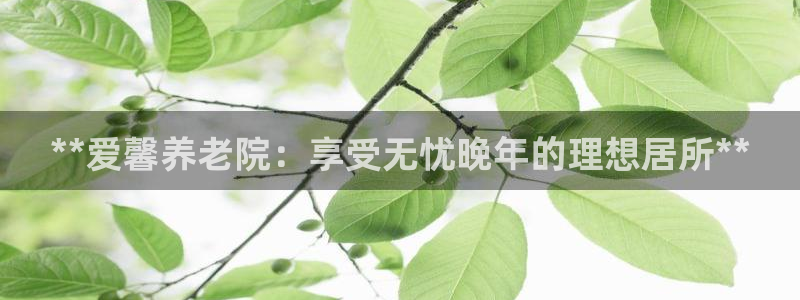 韦德事件