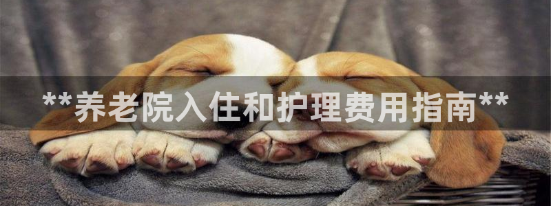 韦德1567