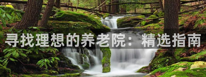 韦德官方下载