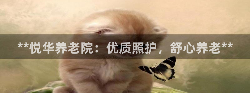 韦德网址是多少