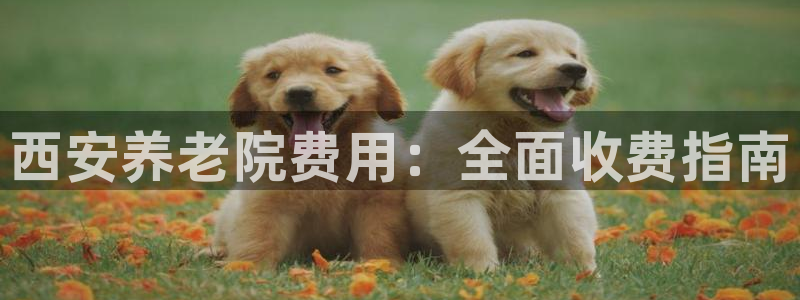韦德官方网址