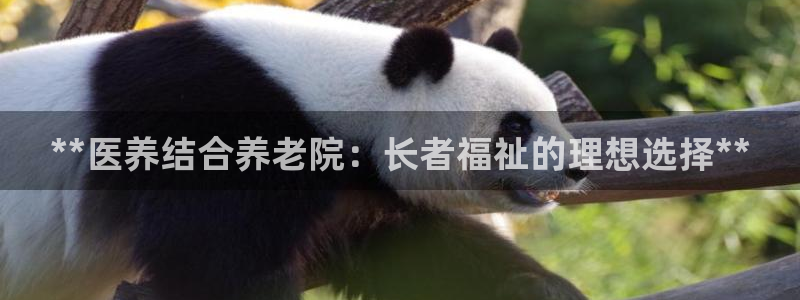 韦德网址