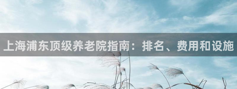 韦德1946游戏