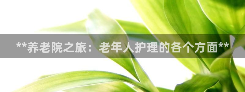 韦德1946游戏
