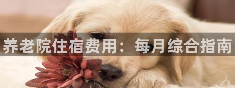 韦德国际体育